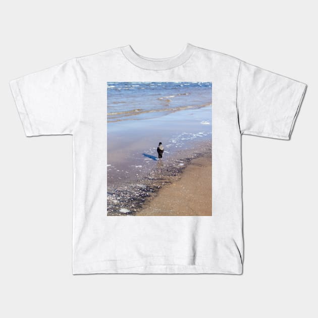 Grey crow walking in sea water near seacoast Kids T-Shirt by lena-maximova